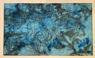 Jardin d'algues. - Gravures